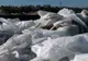 Aproximativ 42.000 kg. îngrăşămint, depozitate ilegal