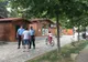 Un weekend, multe misiuni pentru jandarmii băcăuani