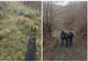 Un bătrân care s-a rătăcit a fost găsit de un câine de urmă