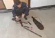Ghinionul unor bătrâni din Bacău- Au vrut să alunge spiritele rele, dar au atras atenția jandarmilor