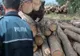 Lemne confiscate și amendă pentru bărbat care conducea o autoutilitară