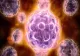 Un virus derivat din vaccinuri face RAVAGII - URGENȚĂ de sănătate publică, anunțată de OMS și o fundație a lui Gates