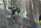 Incendiul de la Ocolul Silvic Privat Oituz este localizat