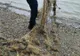 Peste 20 de kilograme de pește, eliberate în mediul natural de jandarmii băcăuani