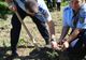 Misiune inedită pentru jandarmii din Bacău: au ieșit la plantat arbori