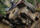 Trofeul Dacii Liberi aduce și în acest an împătimiți ai Off Road-ului la Slănic Moldova