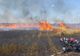 11 incendii de vegetație uscată s-au manifestat în ultimele 24 de ore în Județul Bacău