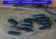 Băcăuani, prinși în flagrant cu 100 de grame de cocaină