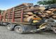Autocamion și material lemnos confiscate de pe raza comunei Ghimeș-Făget! Șoferul din Harghita are acum dosar penal
