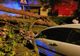Arbori căzuți din cauza furtunii! Au intervenit pompierii