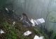 Primele IMAGINI de la locul prăbușirii elicopterului lui Raisi. Epava aeronavei, de nerecunoscut, după ce s-a izbit de un vârf de munte