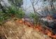 UN ELICOPTER BLACK HAWK VA INTERVENI PENTRU STINGEREA UNUI INCENDIU DE VEGETAȚIE LA SLUTA