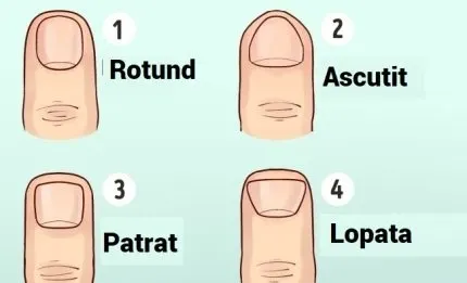 Ce spune forma palmei despre tine - Personalitatea slabă sau puternică, dictată de aspectul mâinii și de degete – poza 2