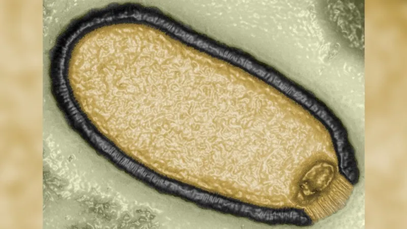 Avertisment înfricoșător: Virus zombie din Siberia, înghețat de 49.000 de ani, reactivat - Cât de aproape e o pandemie mortală – poza 3