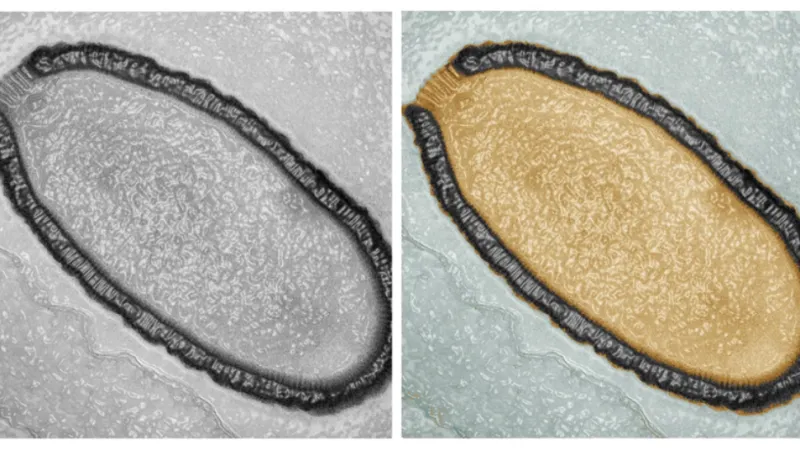 Avertisment înfricoșător: Virus zombie din Siberia, înghețat de 49.000 de ani, reactivat - Cât de aproape e o pandemie mortală – poza 1